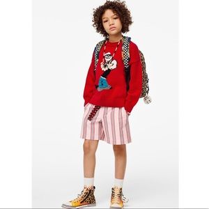 Zara Limited Edition Stripe Bermuda Shorts